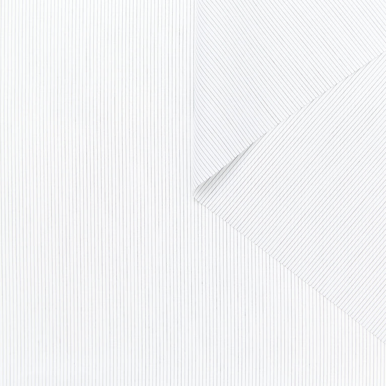 T23V05933 | Stripe Cotton Poplin - view 1