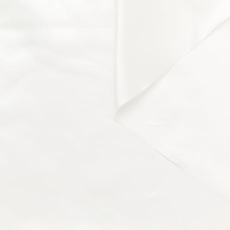 T23V05961 | Shiny Viscose Twill Lining