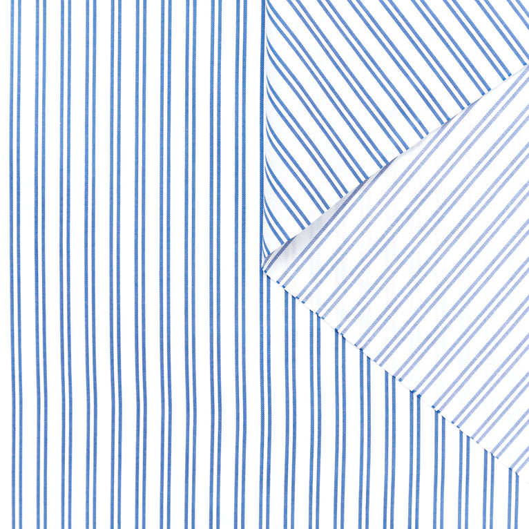 T23W06026 | Twin Stripe Oxford Poplin - view 1