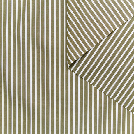 T23W06066 | Stripe Cotton Poplin