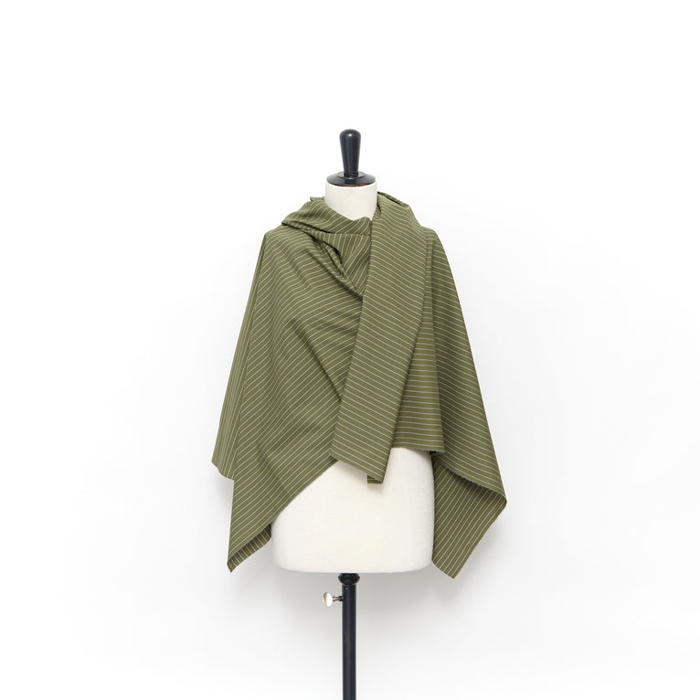 T23W06070 | Pinstripe Cotton Poplin - view 2