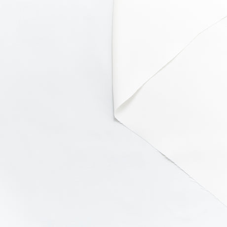 T23W06076 | Washed Cupro & Modal Twill