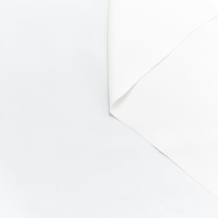 T23W06076 | Washed Cupro &amp; Modal Twill - view 1