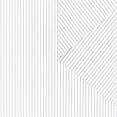 T24A06468 | Pinstripe Cotton Poplin