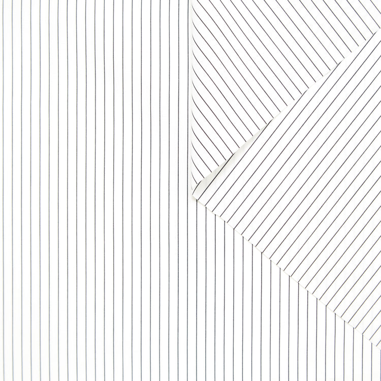 T24A06468 | Pinstripe Cotton Poplin - view 1