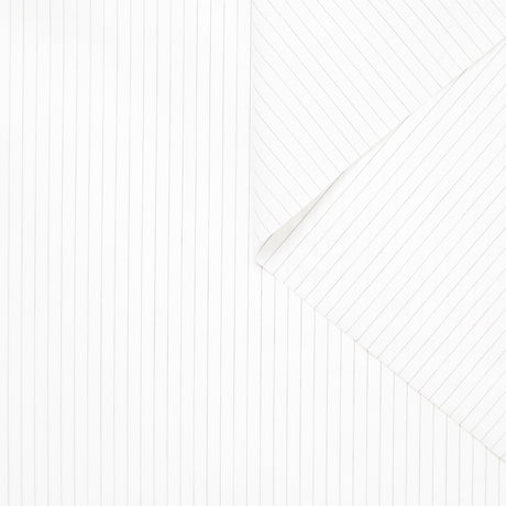 T24A06496 | Popeline de coton à Rayures Fines