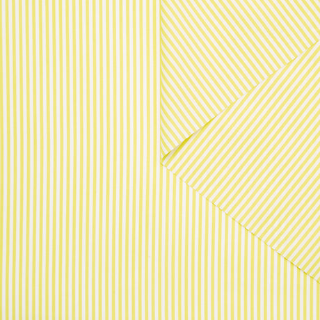 T24A09062 | Striped Cotton Poplin