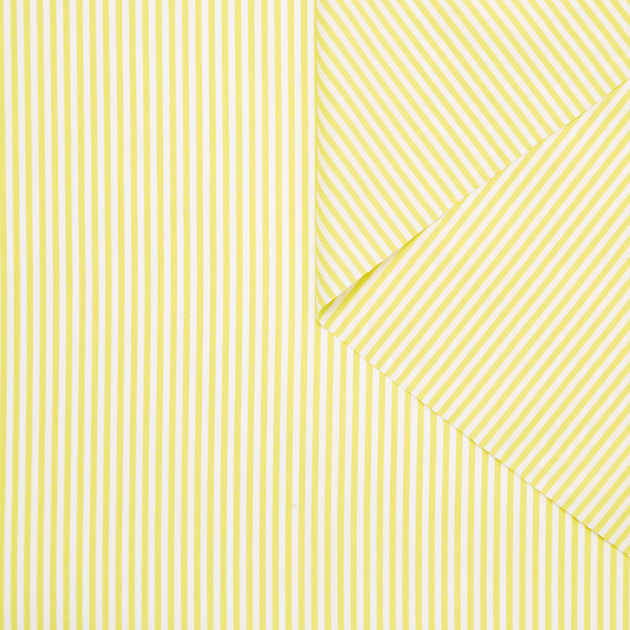 T24A09062 | Striped Cotton Poplin
