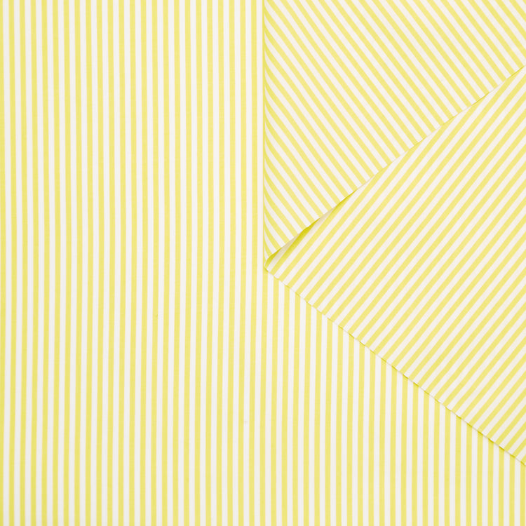 T24A09062 | Striped Cotton Poplin - view 1