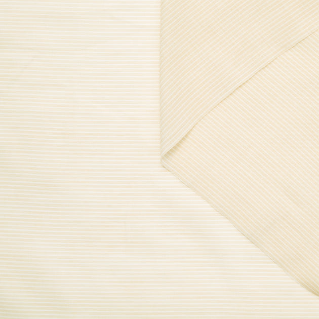 T24A09100 | Stripe Voile