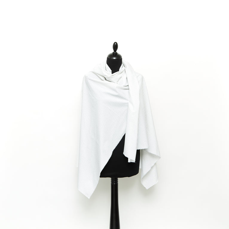T24A09136 | Stripe Cotton Poplin - view 2
