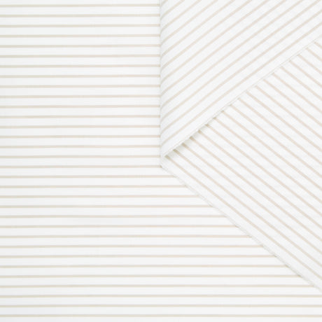 T24A09136 | Stripe Cotton Poplin