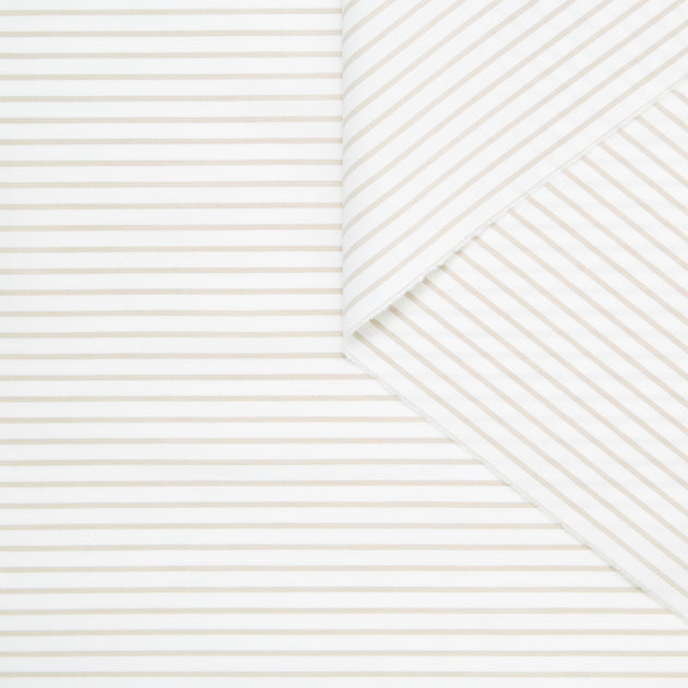 T24A09136 | Stripe Cotton Poplin