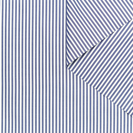 T24A09170 | Stripe Cotton Poplin