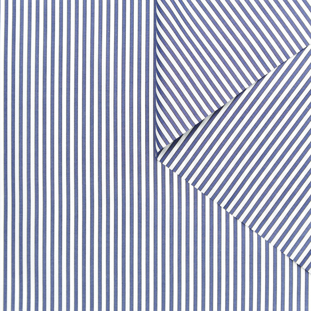 T24A09170 | Stripe Cotton Poplin