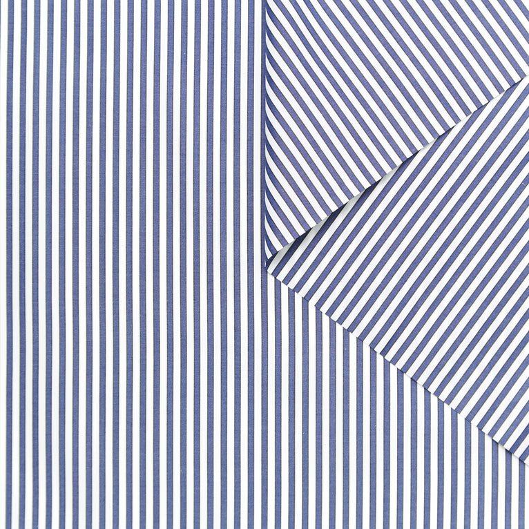 T24A09170 | Stripe Cotton Poplin - view 1