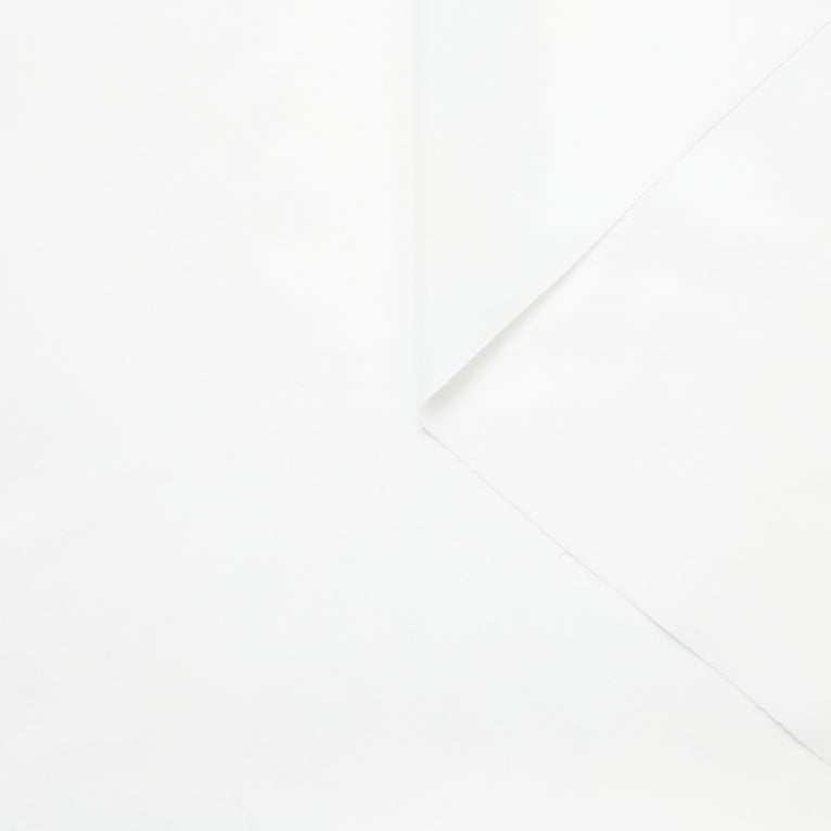 T24A11355 | Cotton Poplin - view 1
