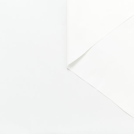 T24B06531 | Papery Cotton Poplin GOTS