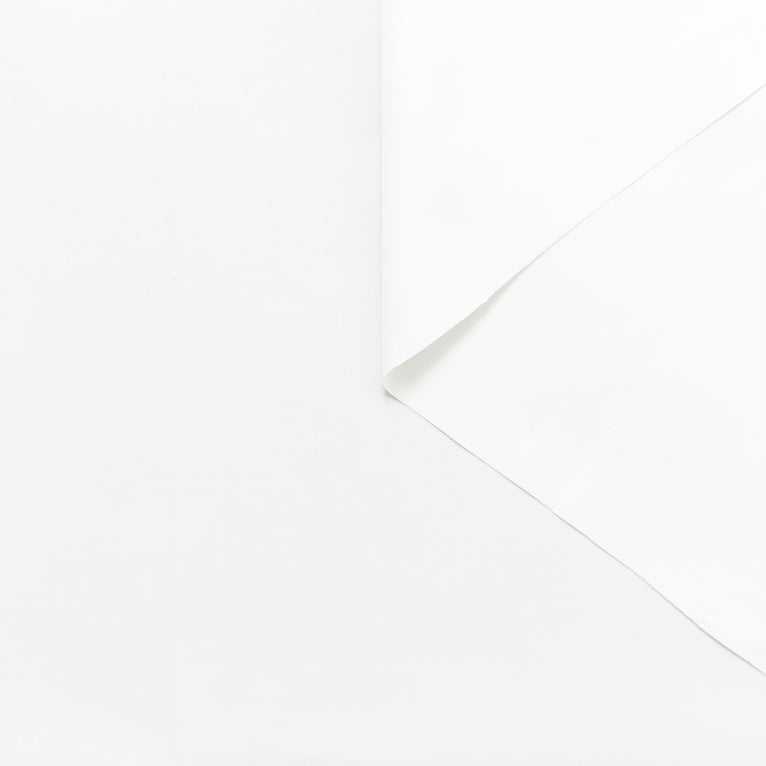 T24B06531 | Papery Cotton Poplin GOTS - view 1