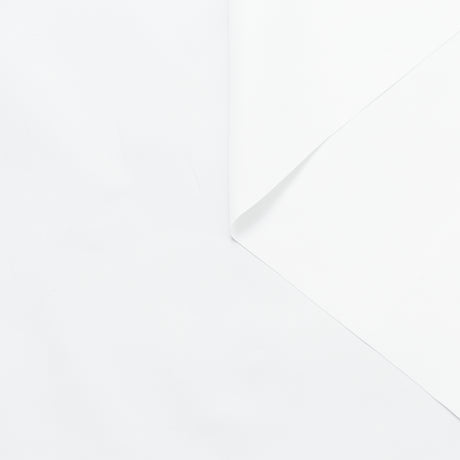 T24B06574 | Papery Cotton Poplin GOTS
