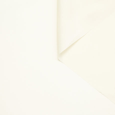 T24B08727 | Pongé de Soie GOTS