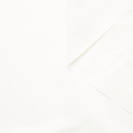T24B08731 | Radzimir Taffeta