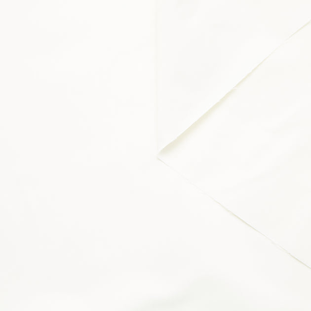 T24B08731 | Radzimir Taffeta