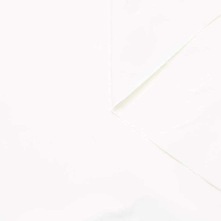T24B08731 | Radzimir Taffeta - view 1