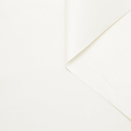 T24B08737 | Satin Duchesse De Soie Rigide OCS