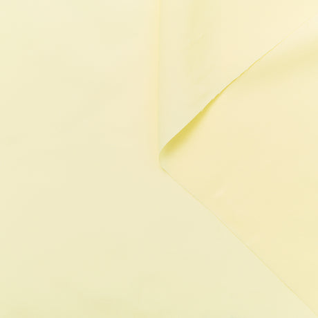 T24B08742 | Popeline de Coton BCI