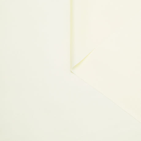 T24B08767 | Twill de Soie GOTS