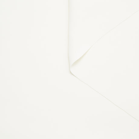 T24B08791 | Cady de Soie Double Face