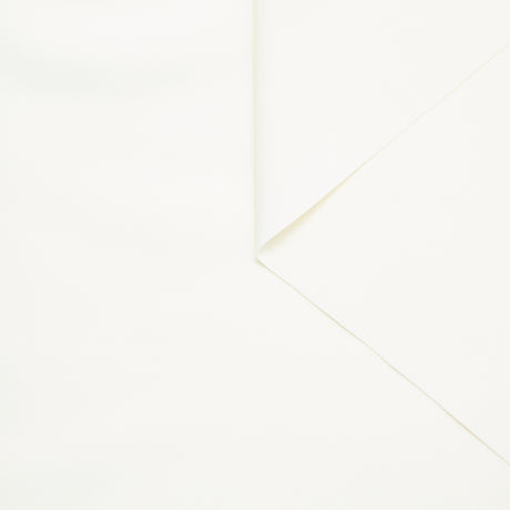 T24B08803 | Tissu Tailleur Fluide