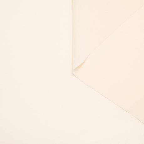 T24B08806 | Georgette de Soie
