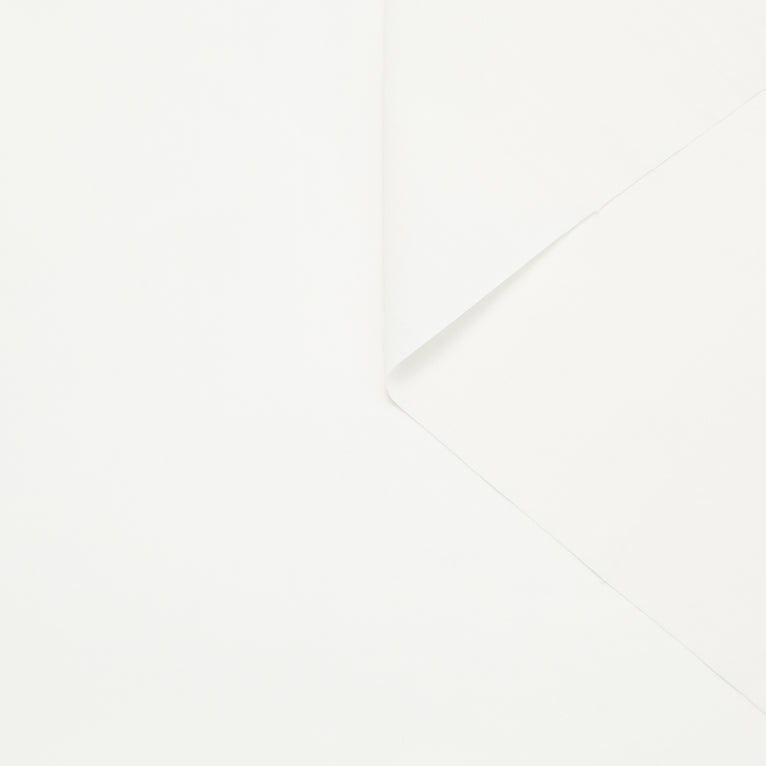 T24B08823 | Cotton Poplin - view 1