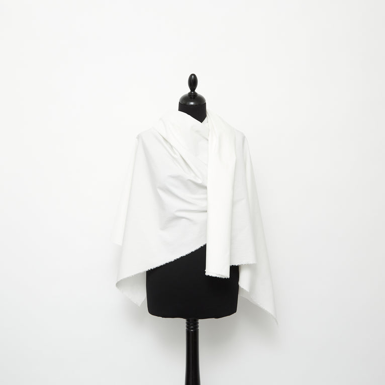 T24B08823 | Cotton Poplin - view 2