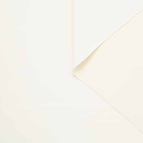 T24B08844 | Grain de Poudre RWS /  GRS