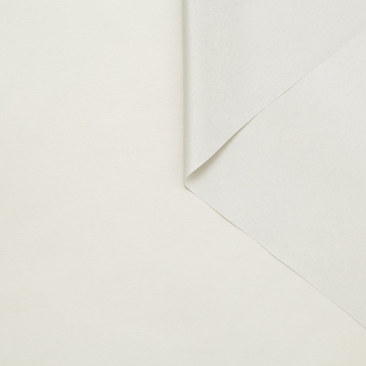 T24B08899 | Doublure GRS - vue 1