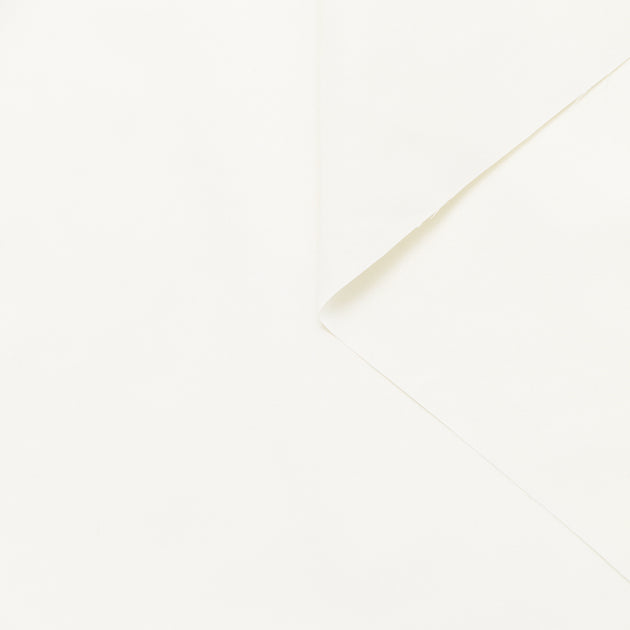T24B08971 | Taffeta