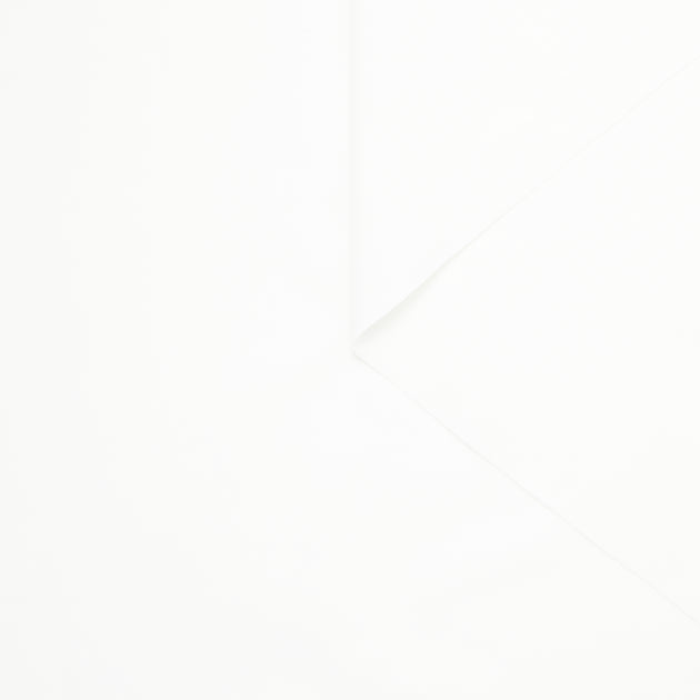 T24B09446 | Cotton Poplin