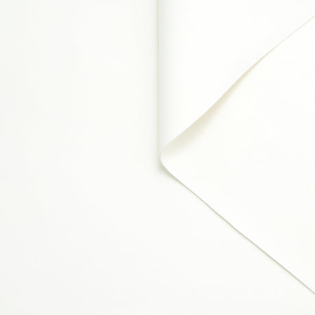 T24B10532 | Alcantara
