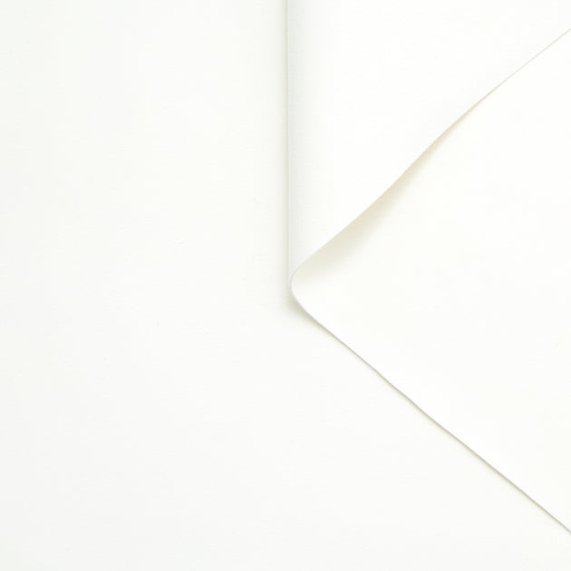 T24B10532 | Alcantara