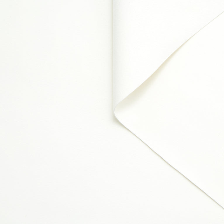 T24B10532 | Alcantara - vue 1