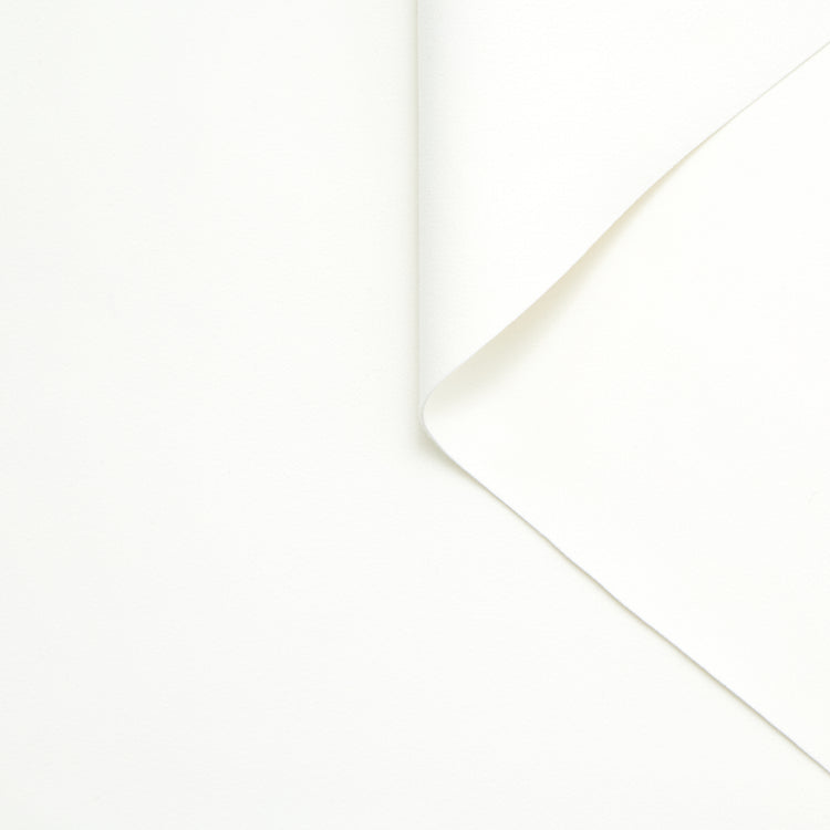 T24B10532 | Alcantara - vue 1