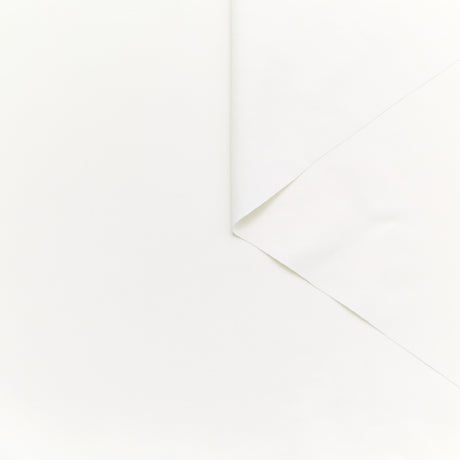 T24B10610 | Drap de Soie Lavé
