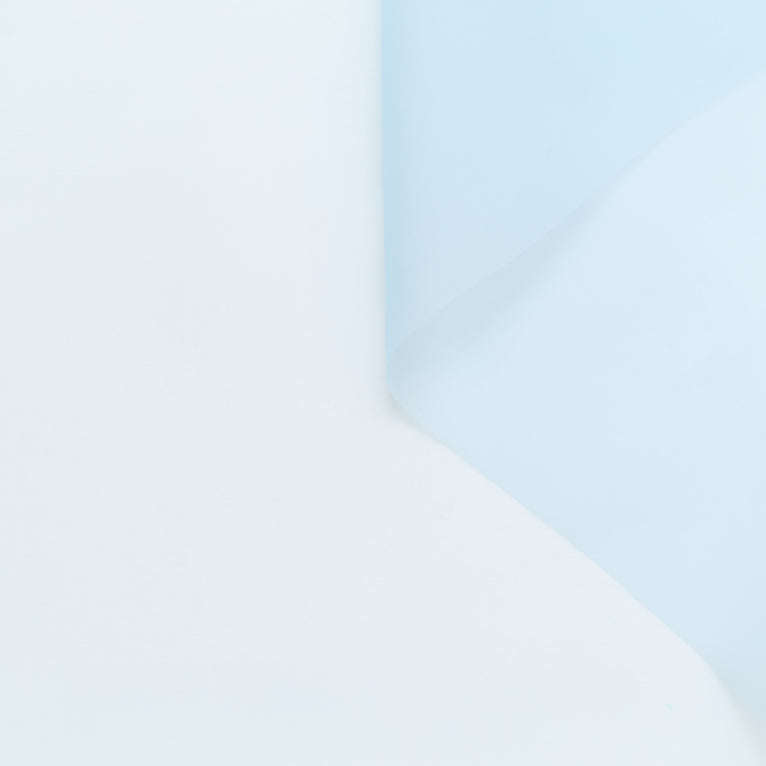 T24B10622 | Organza en Soie - vue 1