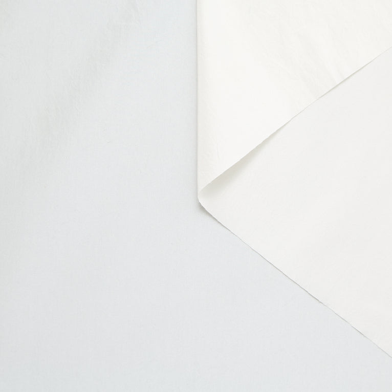 T24B10626 | Taffetas de Soie - vue 3