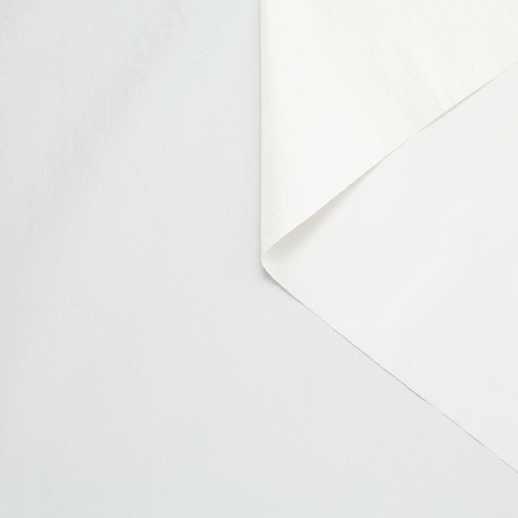 T24B10626 | Taffetas de Soie - vue 1