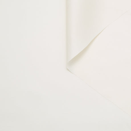 T24B10634 | Twill de Soie