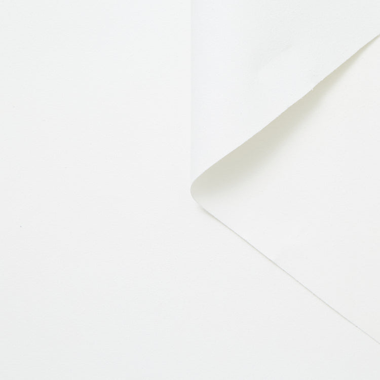 T24C10061 | Alcantara 0.5 - vue 1